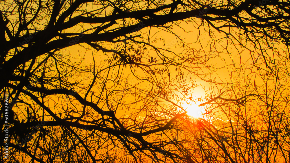 Sunset a beautiful sky orange golden clouds creating a beautiful and misteiroso scenery in the nordete of Brazil on the serrated biome Sunset a beautiful sky orange golden clouds creating a beautiful and misteiroso scenery in the nordete of Brazil on the serrated biome