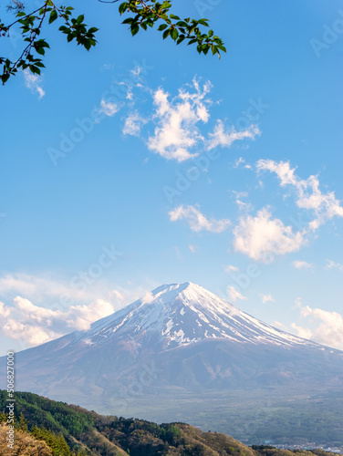 Fuji mountain and tree at the foreground in spring, Japan.
