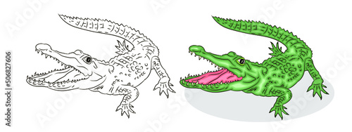  




Vector image of a crocodile.
 Black and white and color illustration. Coloring book for children.