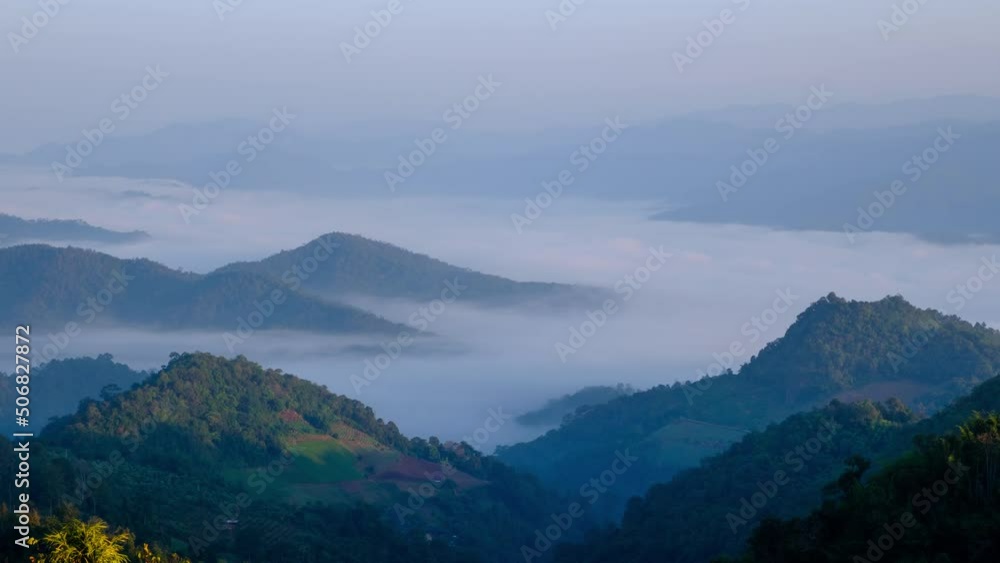 nature landscape view in morning time. mist in the valley tree forest in the winter of thailand flying drone of point view. 4k video nature landscape view in morning time. mist in the valley tree forest in the winter of thailand flying drone of point view. 4k video