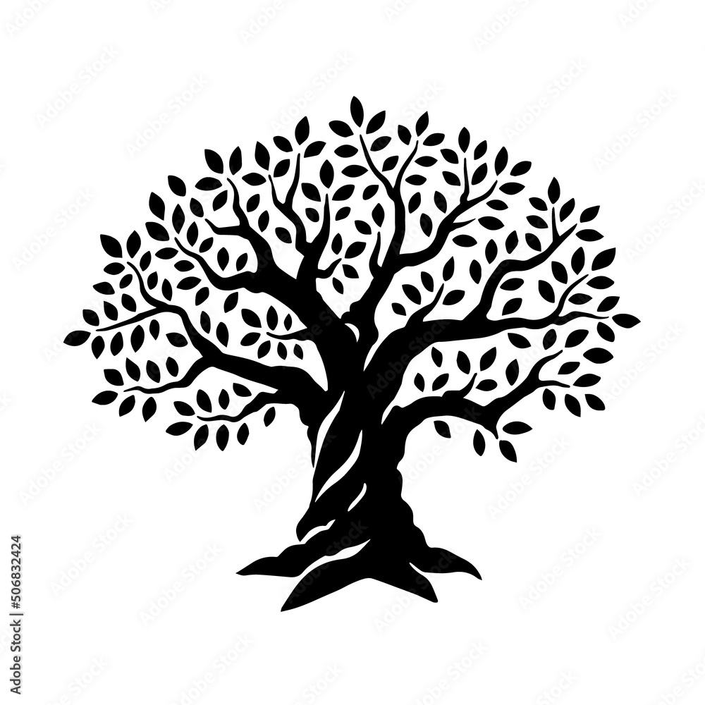 Olive tree. Black and white vector illustration