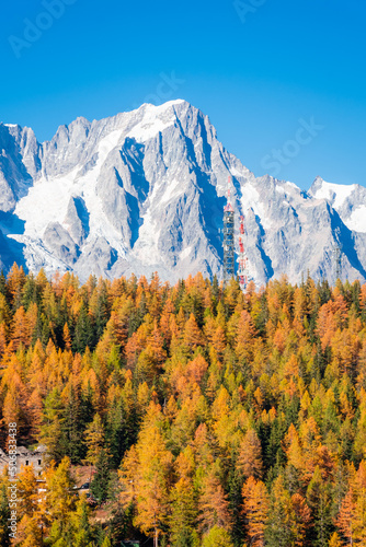 Beautiful autumnal landscape with the wood and the Monte Rosa (Pink Mount) in Aosta Valley Italy © Stefano Zaccaria
