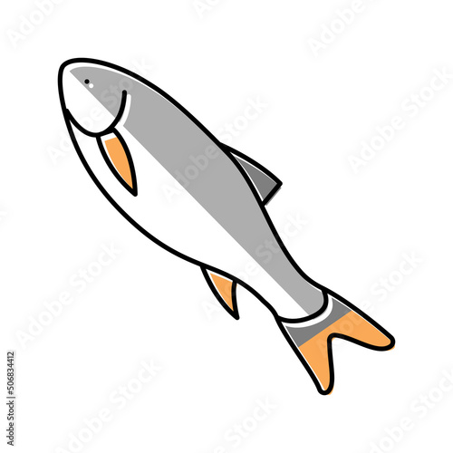 rohu fish color icon vector illustration