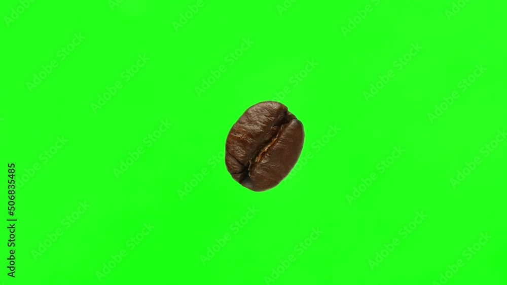 The coffee bean is one on the chromakey, green background. The coffee bean is one on the chromakey, green background.
