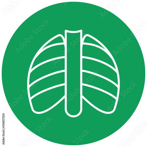 X-ray Icon