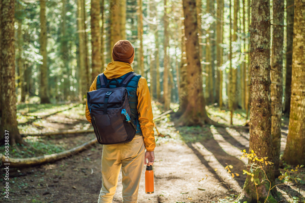 man in warm clothes enjoys a walk in a pine forest man in warm clothes enjoys a walk in a pine forest