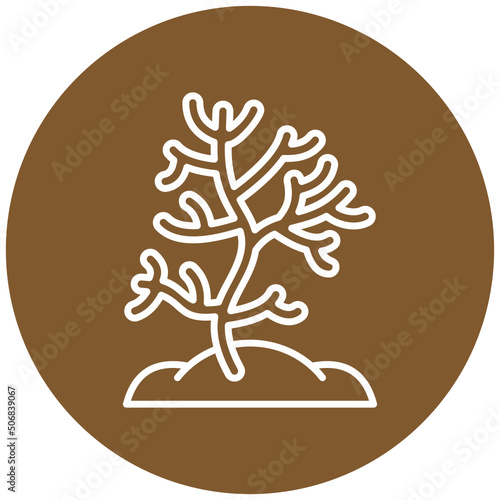 Coral Icon