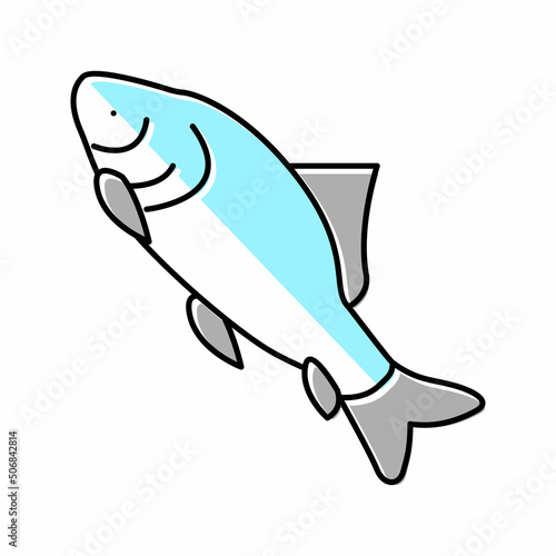 catla catla fish color icon vector illustration photo