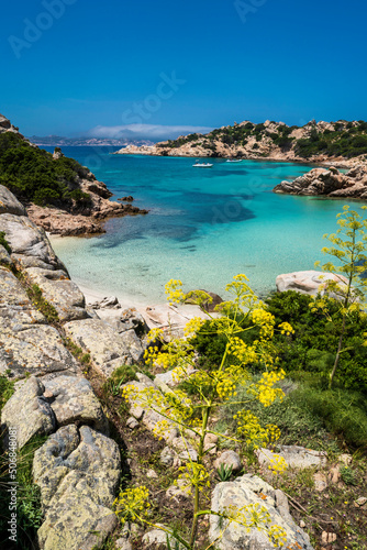 Panoramic view of Cala Napoletana on the island of Caprera, located in the La Maddalena archipelago national park, Olbia-Tempio -Sardinia