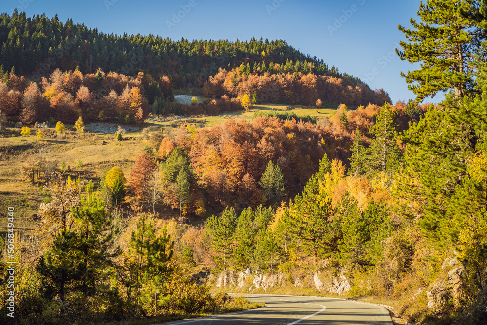 Beautiful autumn view of yellow trees, road and mountains, Montenegro