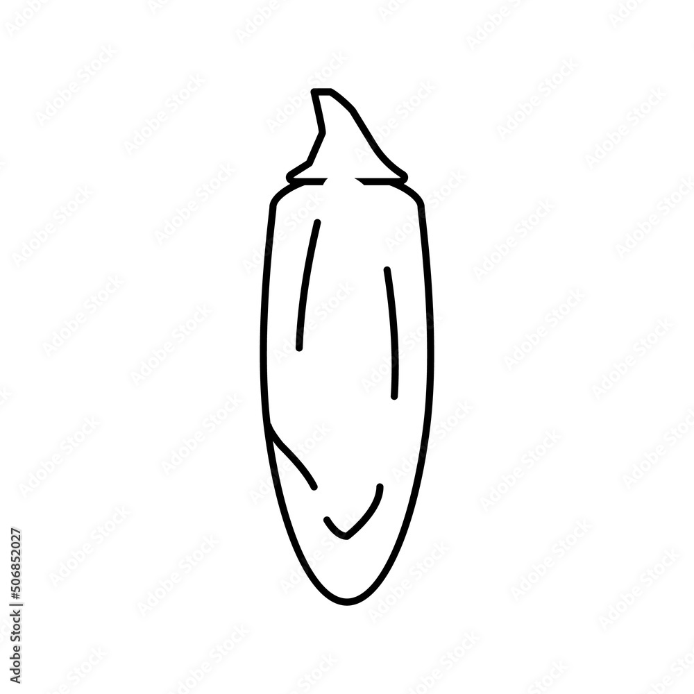 jalapeno pepper line icon vector illustration jalapeno pepper line icon vector illustration