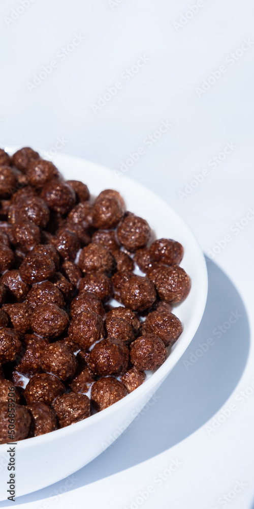 chocolate granules balls in milk in a white plate for breakfast
chocolate granules balls in milk in a white plate for breakfast