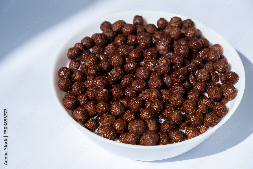 chocolate granules balls in milk in a white plate for breakfast
chocolate granules balls in milk in a white plate for breakfast