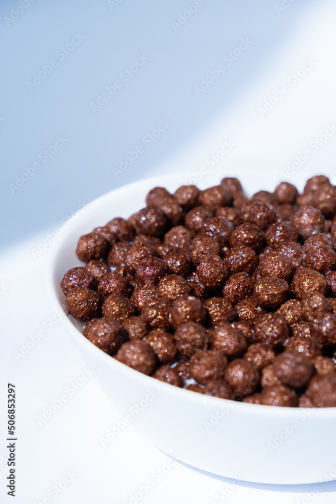 chocolate granules balls in milk in a white plate for breakfast
chocolate granules balls in milk in a white plate for breakfast