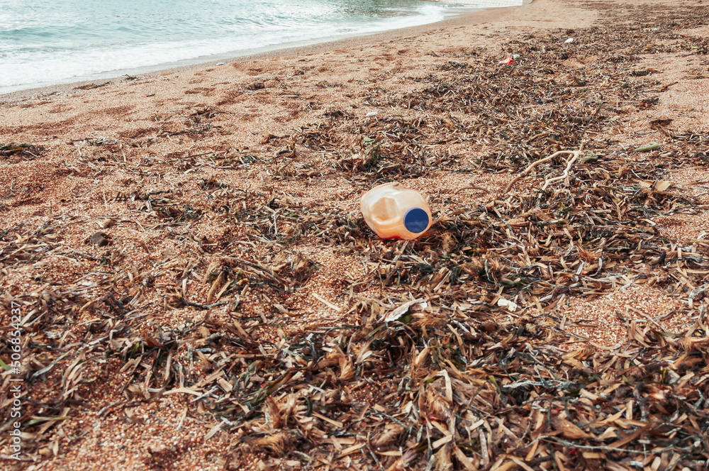 Obraz premium garbage on the seashore,plastic bottles and a lot of algae on the sand