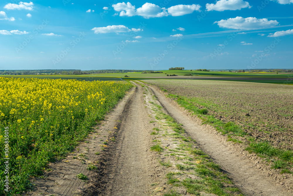 A landscape of spring fields with a rural road in eastern Poland A landscape of spring fields with a rural road in eastern Poland