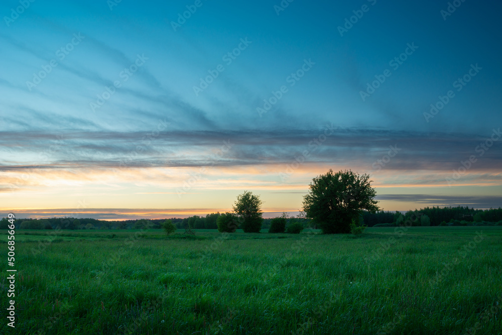 Evening sky after sunset over a green meadow