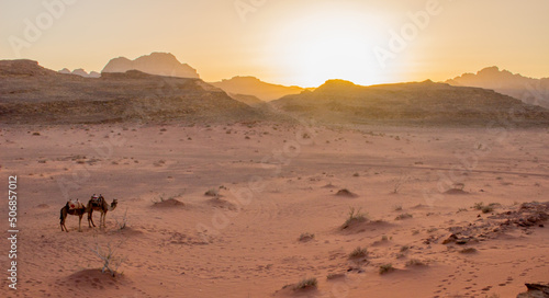 Sunset with camels in Wadi Rum, Jordan