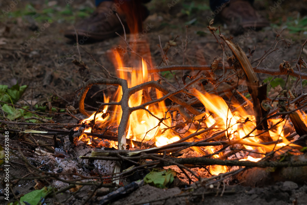 Ognisko rozpalone w lesie biwaku - obrazy, fototapety, plakaty 
