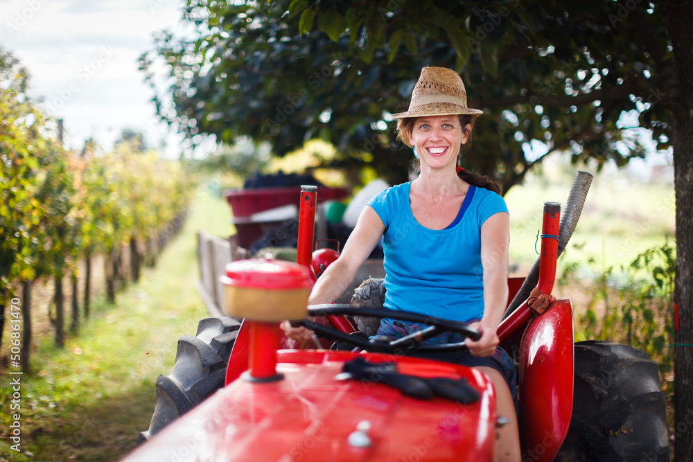 Mid Adult Smiling Woman Driving a Red Tractor in a Vineyard