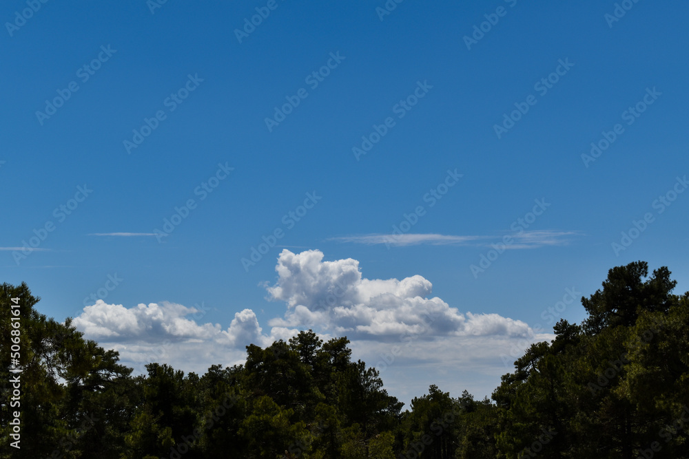 Fototapeta premium Cielo