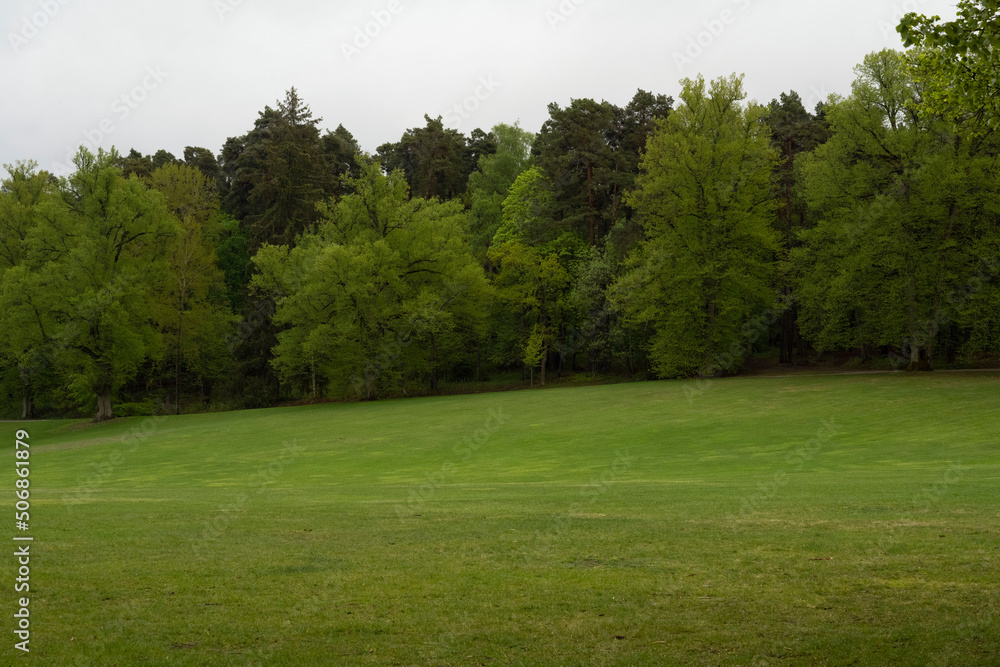 Obraz premium park with a large clipped meadow
