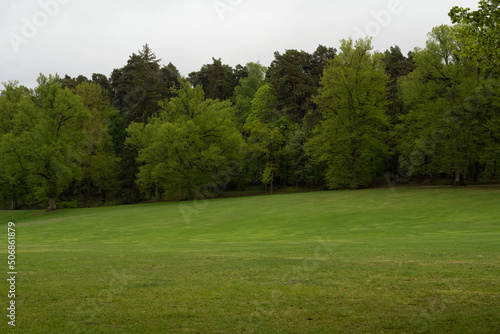 park with a large clipped meadow