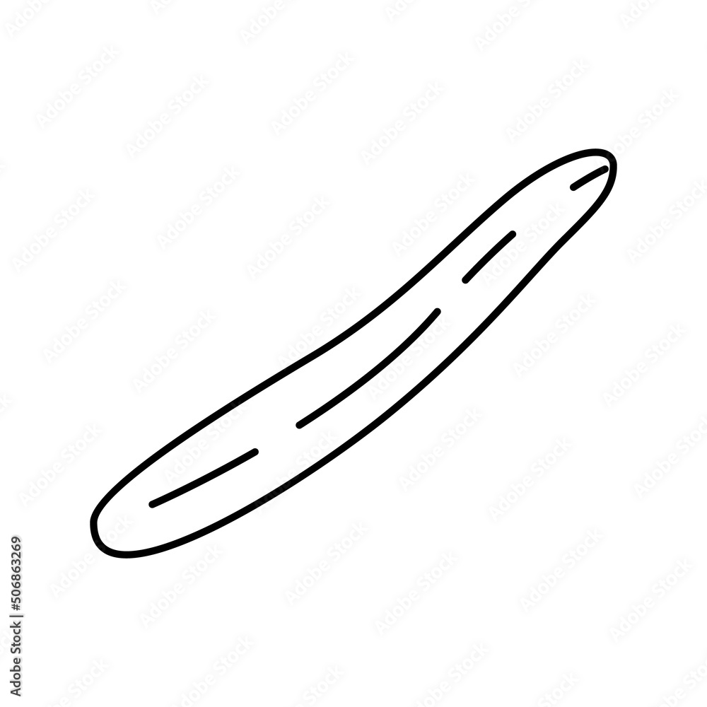 english cucumber line icon vector illustration english cucumber line icon vector illustration