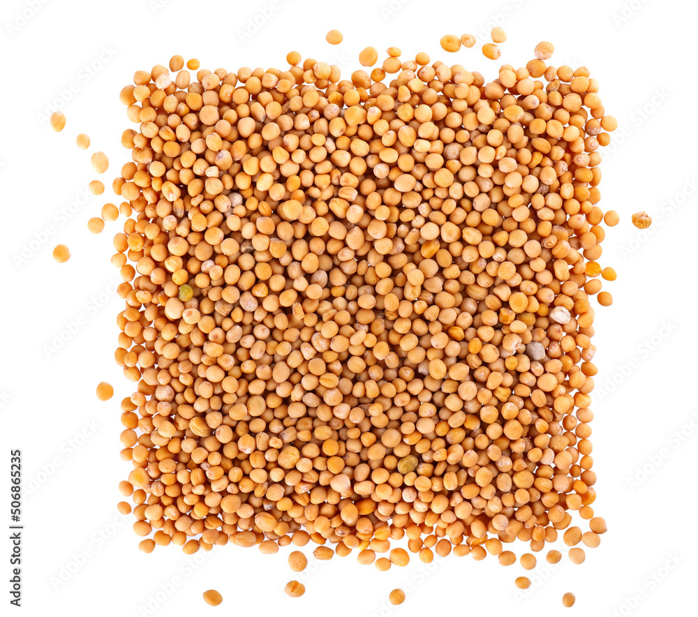 Mustard seeds isolated on white background. Pile of dry mustard grains. Top view. Mustard seeds isolated on white background. Pile of dry mustard grains. Top view.