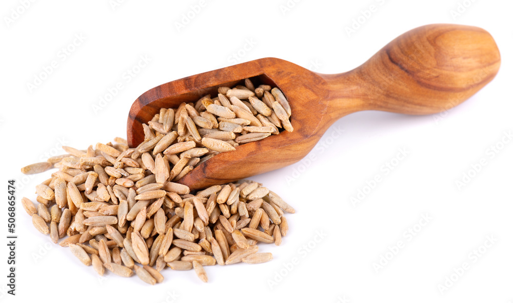 Rye grains isolated on white background. Pile of rye malt seeds in olive scoop. Dry grains of winter rye. Rye grains isolated on white background. Pile of rye malt seeds in olive scoop. Dry grains of winter rye.