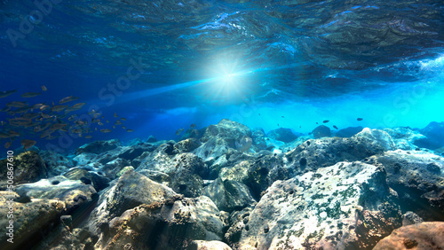 Underwater photo of crystal clear blue reef with fish. From a scuba dive at the Canary islands.