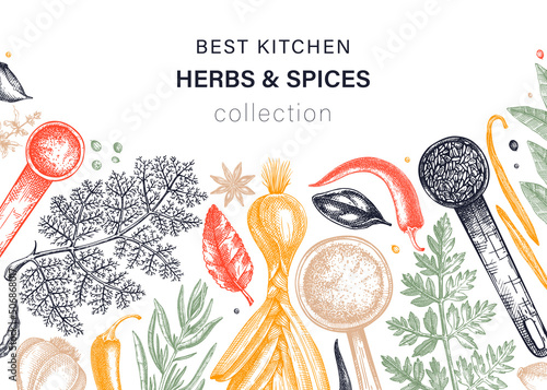 Hand-drawn herbs and spices vector background in color. Hand-sketched food illustration. Aromatic plants hand-drawing. Kitchen herbs and spice frame template in sketched style for menu or banners