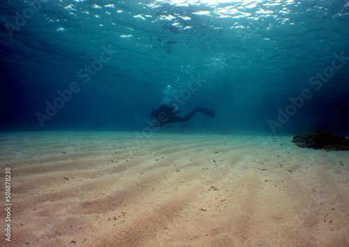 Obraz na plátně underwater scene , scuba divers , caribbean sea , Venezuela