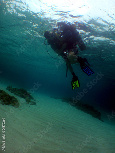  underwater scene , scuba divers , caribbean sea , Venezuela 