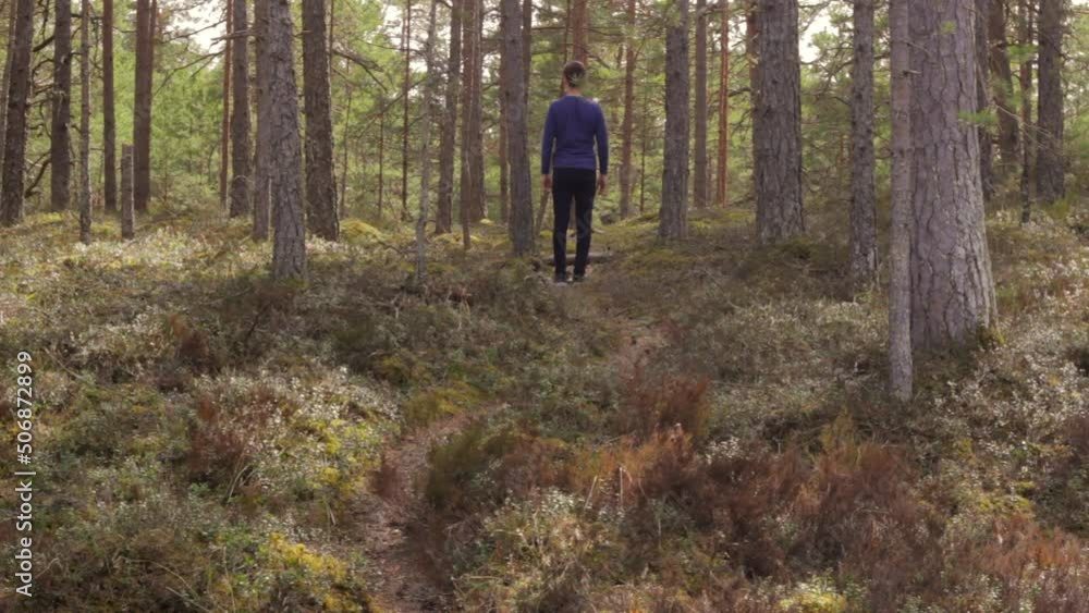 Back view of man enjoying sunny relaxing day in forest, deep breath, day Back view of man enjoying sunny relaxing day in forest, deep breath, day