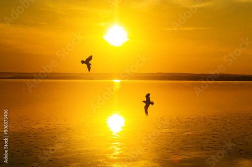 Two seagulls fly against the backdrop of the setting sun