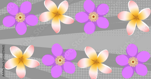 Image of pink and purple flowers on spinning grey stripes in background