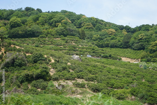 landscape of countryside of Japan