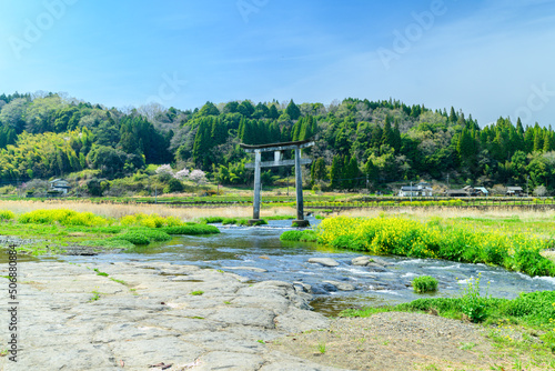 原尻の滝「春風の季節・鳥居と小川風景」
Harajiri Falls 