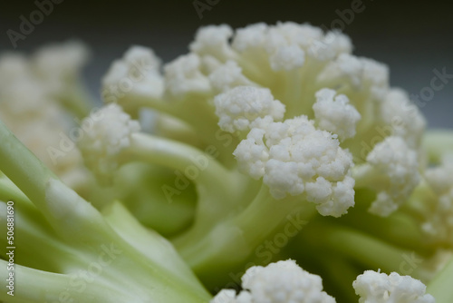 Macro of Cauliflower. Extreme close up of fresh vegetable. 