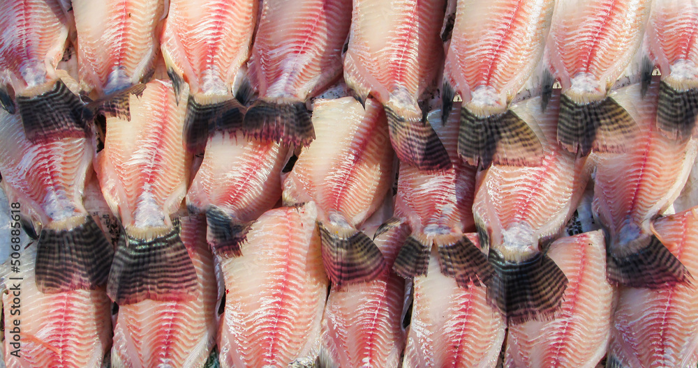 tilapia being treated for feed, we see fresh fish without scales Stock