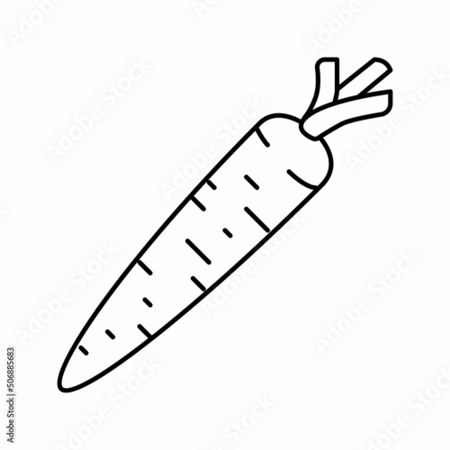 carrot vegetable line icon vector illustration