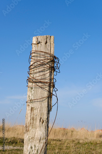 Holzpfahl mit rostigem Draht,  Juist, Töwerland, Ostfriesische Insel, Ostfriesland, Niedersachsen, Deutschland photo