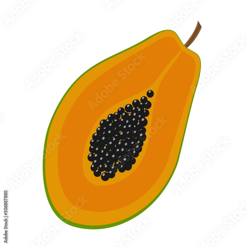 juicy red water melon isolated on white background, flat design vector illustration