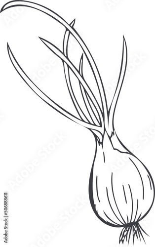 Hand-drawn doodle