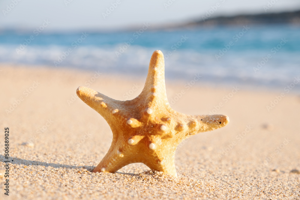 Dry sea star on sandy sunny beach on background of beautiful turquoise blue sea.Seaside,coast, Summer tourism , travelling,vacation, concept, copyspace for text Dry sea star on sandy sunny beach on background of beautiful turquoise blue sea.Seaside,coast, Summer tourism , travelling,vacation, concept, copyspace for text