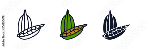 cardamom icon symbol template for graphic and web design collection logo vector illustration