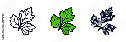 parsley icon symbol template for graphic and web design collection logo vector illustration