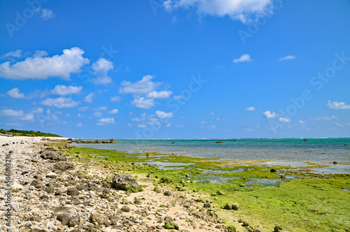 石垣島　白保海岸