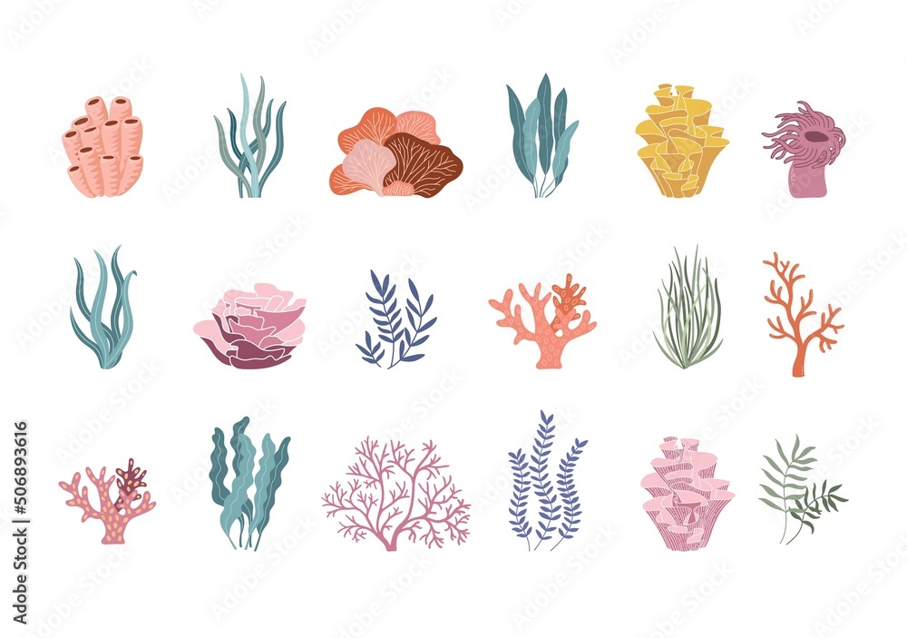 Trendy coral reef and plants vector set. Underwater ocean flora flat icons. Aquarium algae, laminaria, kelp water life isolated on white background. Trendy coral reef and plants vector set. Underwater ocean flora flat icons. Aquarium algae, laminaria, kelp water life isolated on white background.